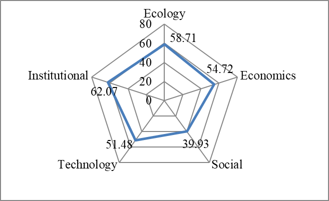 RAP Kite Diagram of Ecological, Economic, Social, Technological, and Institutional Dimensions